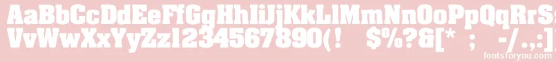 LakelandBold Font – White Fonts on Pink Background