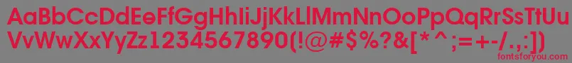 AAvanteintBold Font – Red Fonts on Gray Background