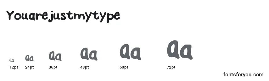 Размеры шрифта Youarejustmytype