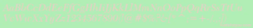 Transitional511ItalicBt Font – Pink Fonts on Green Background