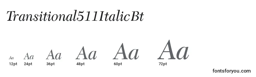 Transitional511ItalicBt Font Sizes