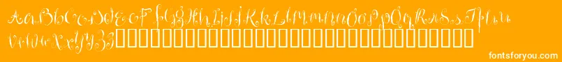 HousemaidAlternate-Schriftart – Weiße Schriften auf orangefarbenem Hintergrund