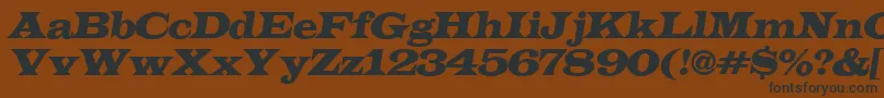 ALatinoexpItalic-Schriftart – Schwarze Schriften auf braunem Hintergrund