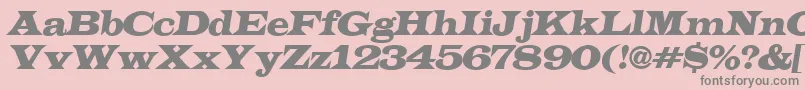 ALatinoexpItalic Font – Gray Fonts on Pink Background