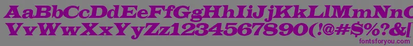 ALatinoexpItalic Font – Purple Fonts on Gray Background