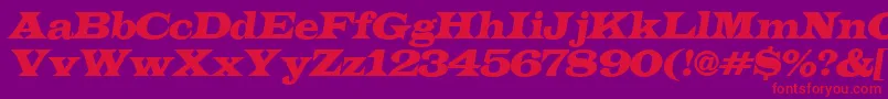 ALatinoexpItalic Font – Red Fonts on Purple Background