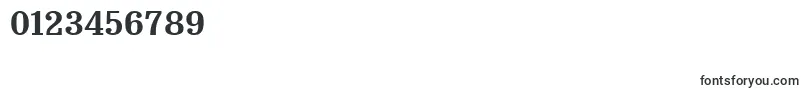 Bruskovaya125 Font – Fonts for Numbers and Digits