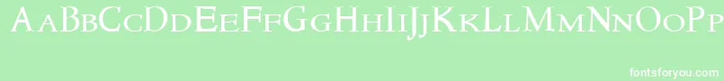 Newstylesmallcaps Font – White Fonts on Green Background