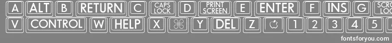 Czcionka Bigkeycaps – białe czcionki na szarym tle