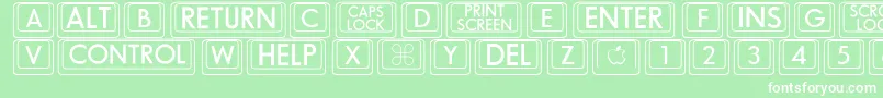 Bigkeycaps Font – White Fonts on Green Background