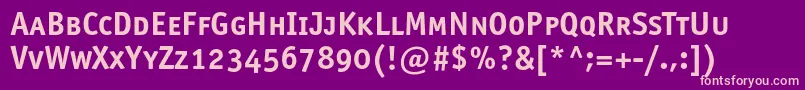 Officinasansboldscc Font – Pink Fonts on Purple Background