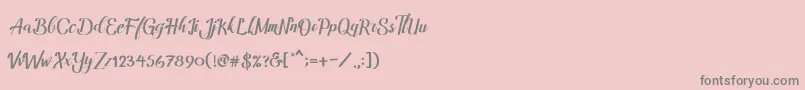 Amandella Font – Gray Fonts on Pink Background