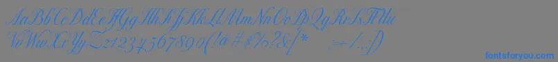 Czcionka Excelsorscript – niebieskie czcionki na szarym tle
