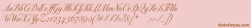 Excelsorscript Font – Brown Fonts on Pink Background