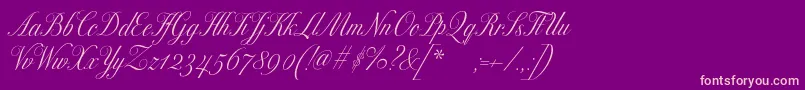 Police Excelsorscript – polices roses sur fond violet