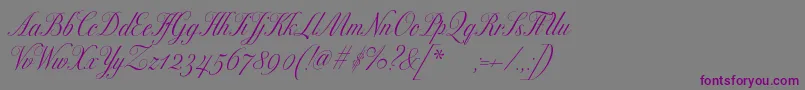 Police Excelsorscript – polices violettes sur fond gris