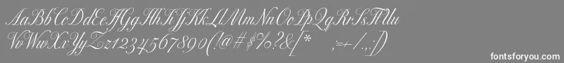 フォントExcelsorscript – 灰色の背景に白い文字