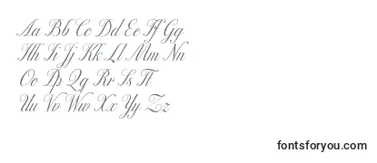 Excelsorscript Font