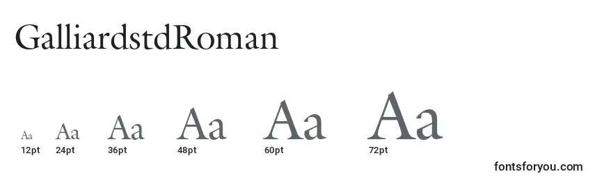 Размеры шрифта GalliardstdRoman