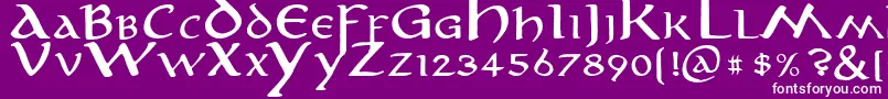 Anirm Font – White Fonts on Purple Background