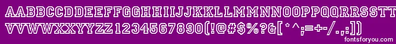 Princetownd Font – White Fonts on Purple Background