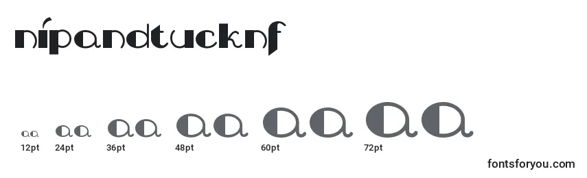 Размеры шрифта Nipandtucknf (111685)