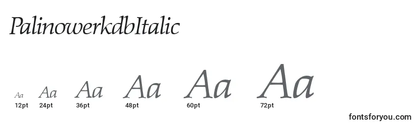 Размеры шрифта PalinowerkdbItalic