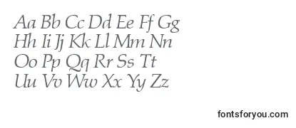 PalinowerkdbItalic Font