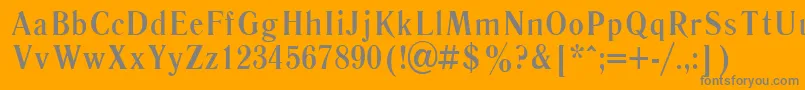 LiteraturnayaBold.001.00190b Font – Gray Fonts on Orange Background