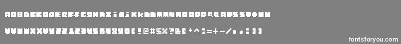 MonosquareExtended Font – White Fonts on Gray Background