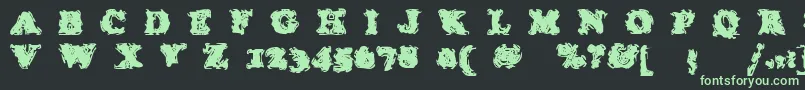 StolenLlamaregular Font – Green Fonts on Black Background