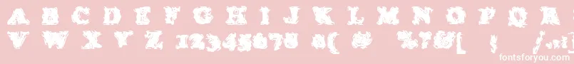 StolenLlamaregular Font – White Fonts on Pink Background