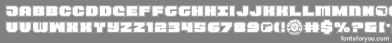 Tauroacad11 Font – White Fonts on Gray Background