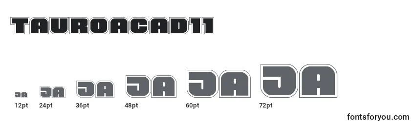 Размеры шрифта Tauroacad11