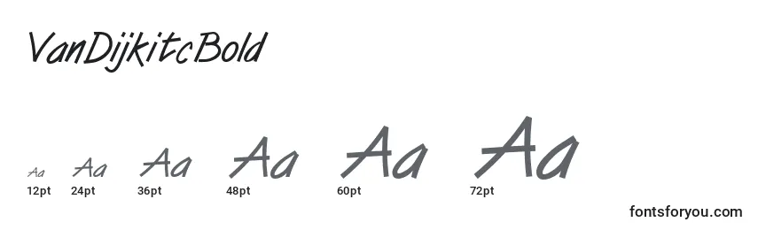 Размеры шрифта VanDijkitcBold