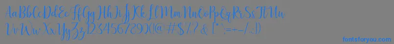 LillymaeRegular-Schriftart – Blaue Schriften auf grauem Hintergrund