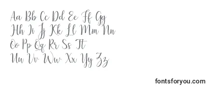 Review of the LillymaeRegular Font