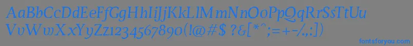 ServusTextDisplayItalic Font – Blue Fonts on Gray Background