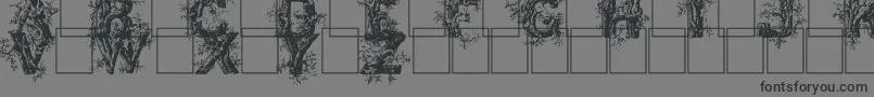 Deepwoodsinitials Font – Black Fonts on Gray Background