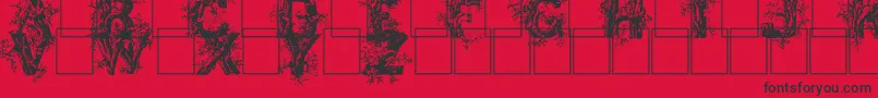 Deepwoodsinitials Font – Black Fonts on Red Background