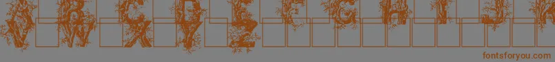 Шрифт Deepwoodsinitials – коричневые шрифты на сером фоне