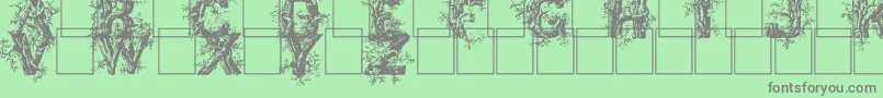 Deepwoodsinitials Font – Gray Fonts on Green Background