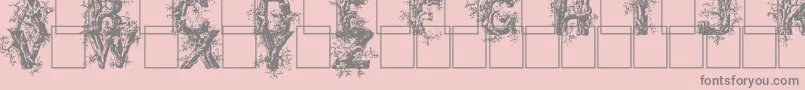 Deepwoodsinitials Font – Gray Fonts on Pink Background