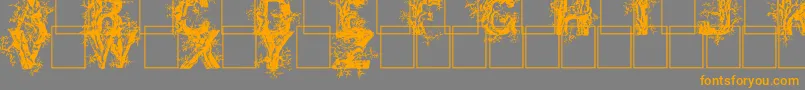 Deepwoodsinitials Font – Orange Fonts on Gray Background