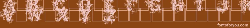 Fonte Deepwoodsinitials – fontes rosa em um fundo marrom