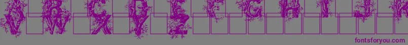 Deepwoodsinitials Font – Purple Fonts on Gray Background
