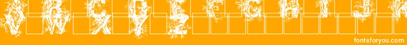 Deepwoodsinitials Font – White Fonts on Orange Background