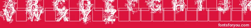 Deepwoodsinitials Font – White Fonts on Red Background