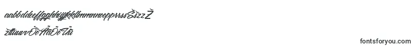 Weitere Informationen zur WashingtonBasketball-Schriftart WashingtonBasketball-Schriftart – estnische Schriften