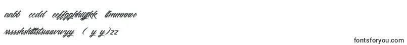 WashingtonBasketball Font – Hausa Fonts